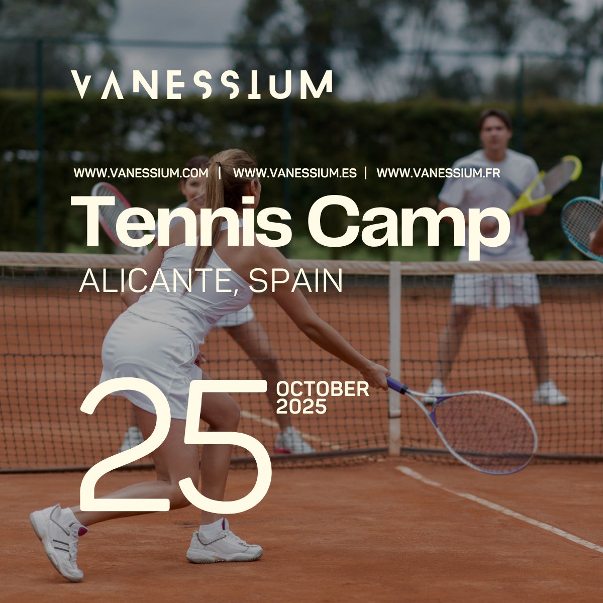 Camp de Tennis à Alicante
